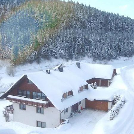Ferienwohnung-Nr-1 Vöhrenbach Exteriör bild
