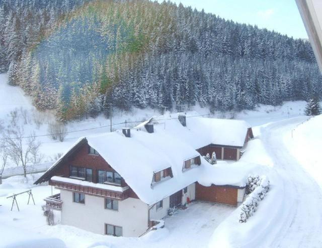 Ferienwohnung-Nr-1 Vöhrenbach Exteriör bild